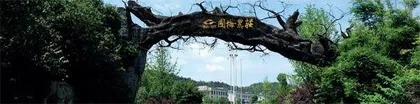 养老公寓诈骗案调查