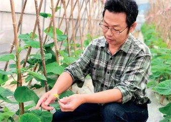 中国种业“卡脖子”之问