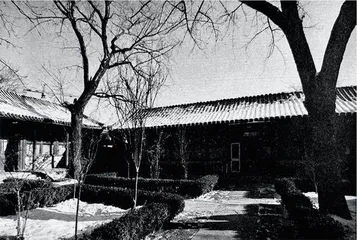 “中新风格”是如何炼成的1