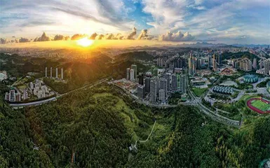 “金山+青山”双丰收，解码低碳转型的“龙岗经验”