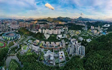 “金山+青山”双丰收,解码低碳转型的“龙岗经验”1