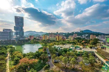 “金山+青山”双丰收,解码低碳转型的“龙岗经验”2