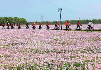 “双碳”新格局:共生 再生 新生11