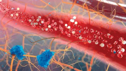 血管里的迷你医生:纳米机器人照进现实还有多远?1