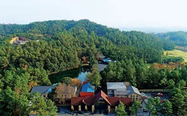 农业银行：赋能绿色金融，助力乡村振兴