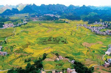 中国农业银行：培育产业经济 铺就乡村振兴路