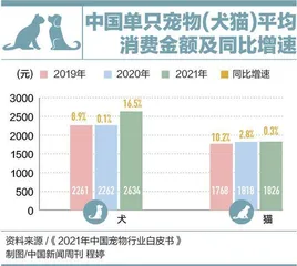 宠物的食品焦虑4