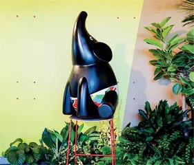 根植可持续发展基因,麦当劳中国“绿动”下一个五年2