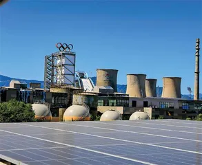 根植可持续发展基因,麦当劳中国“绿动”下一个五年3