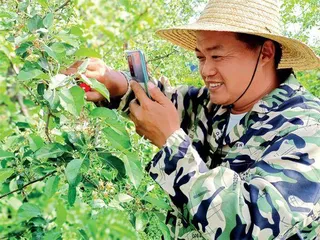 小主播如何撬动“大生意”