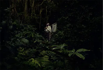 “逝去的未来” 非洲丛林中曾藏着一座科研重镇6