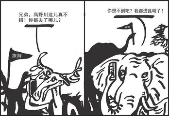 声音