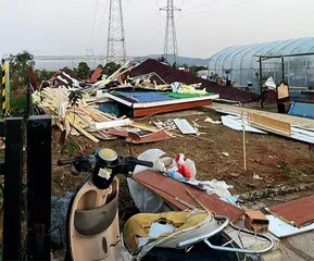 大棚房整治背后的土地难题1