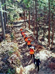 煤电碳达峰:走在平衡木上4