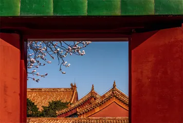 春意