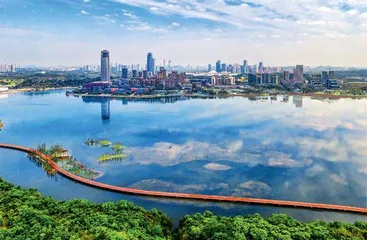 极美成都 雪山下的公园城市5