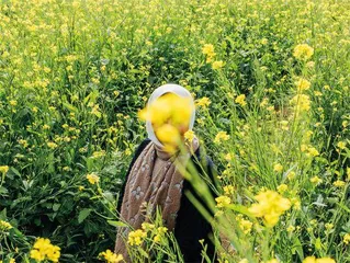 双面科威特:繁华城市与内心伤痛10