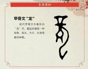 中华第一龙：差点被当作儿童玩具