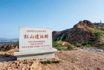 中华第一龙：差点被当作儿童玩具1
