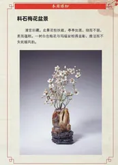 香中别有韵，清极不知寒1