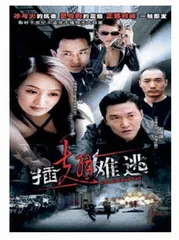 刑侦剧中的真实大案要案2