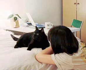 年轻人独居生活志
