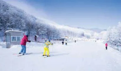 明明在南方,非要玩冰雪1