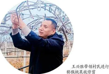 王兴胜：“黑脸兵支书”的爱民情