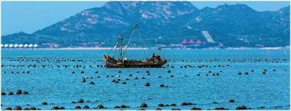 小牡蛎抒写大文章