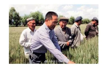 杨志刚：  只为一粒种，把家搬到试验田