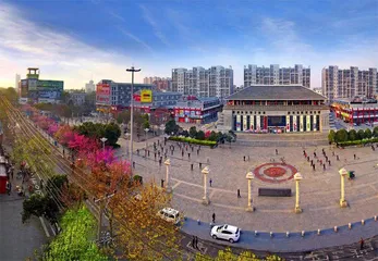 千年古城绽放文明活力
