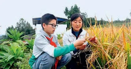 蒲丽蓉：26载守护粮仓安全