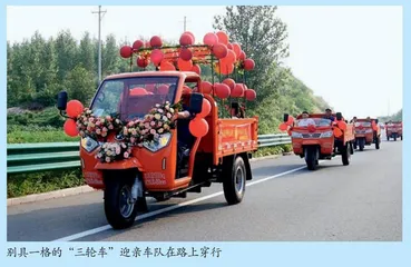 山东省五莲县石场乡倡树文明新风 助力乡村振兴