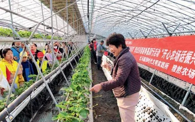 让党的创新理论飞入寻常百姓家