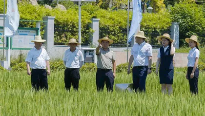 为高标准农田建设注入金融“活水”