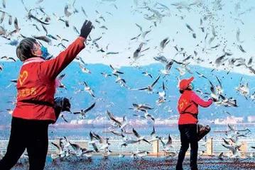 新时代志愿服务的人民性体现