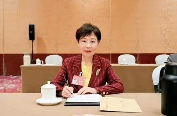 代表热议：准备好应对AI时代法律风险