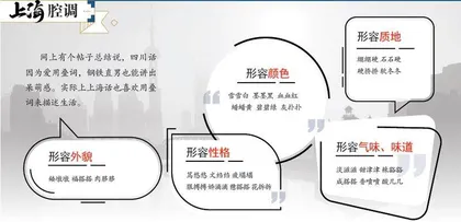 跨越加勒比海的中国情（2024年 第20期）1