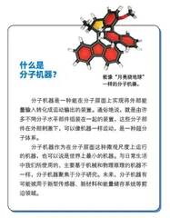 诺奖得主费林加:造“小”的艺术1