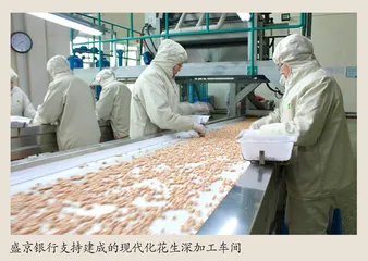 盛京银行葫芦岛分行 为兴城花生产业注入金融“活水”