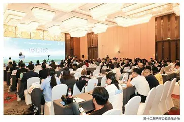 公益筑梦发展 融合共绘未来