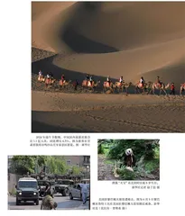 图观天下