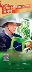 走遍大半中国 他为玉米装上“中国芯”