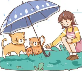 投喂流浪小动物亦有法责