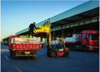 干出挑大梁的担当3