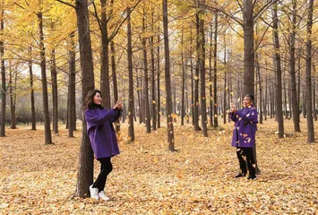 我和婆婆的影像时光1