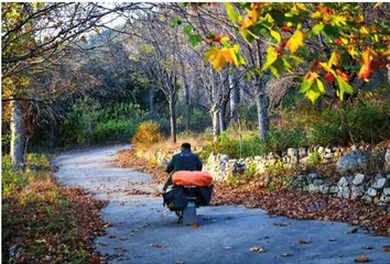 小焦的“焦裕禄邮路”2