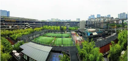 老城改造的国际视野与本土根脉