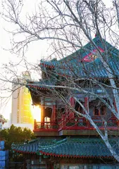 上新街很“上心”5