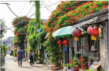 古建筑博物馆为上新街添“新景”3